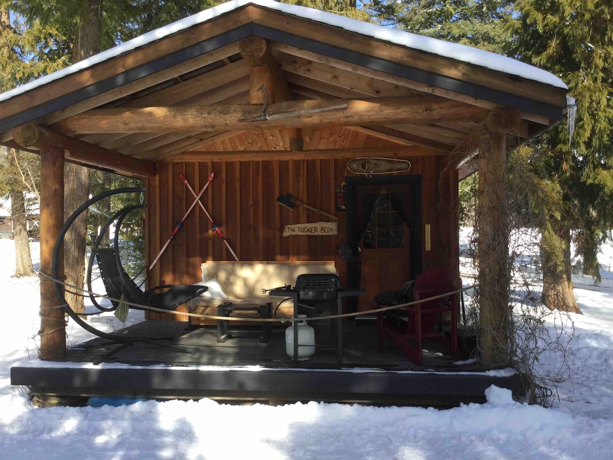 Airbnb Cabin North Shuswap Celista