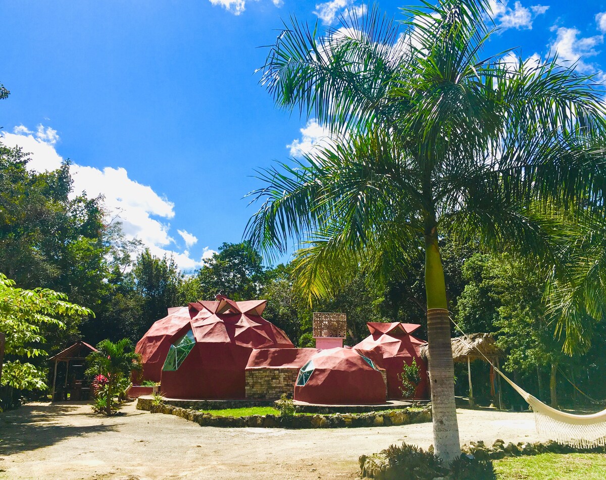 Casa Leon Global ，玛雅丛林中的3个圆顶屋