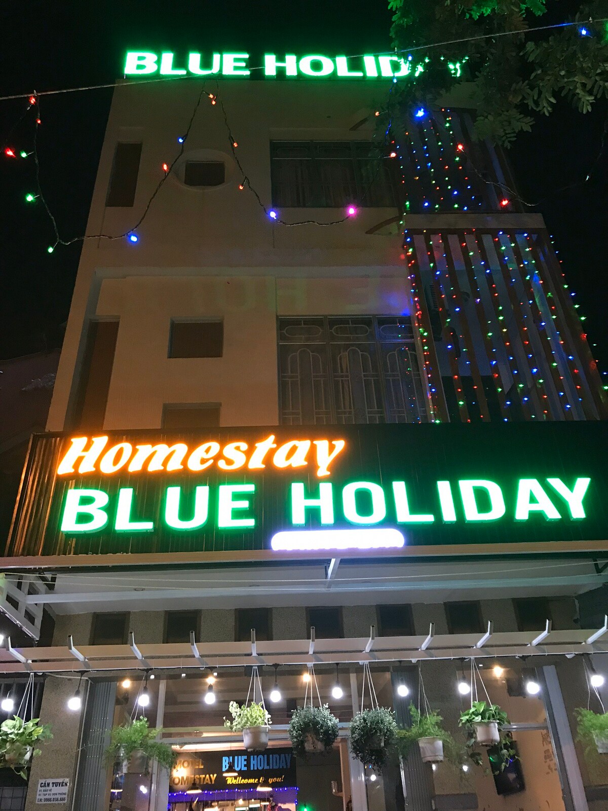 HOMESTAY & COFFEE 
        BLUE HOLIDAY