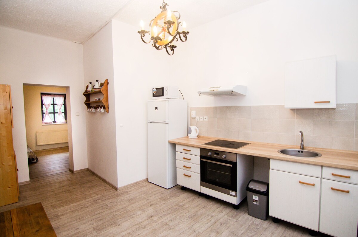 Apartment u Hospżdky