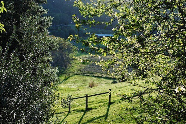 Edenside Cottage