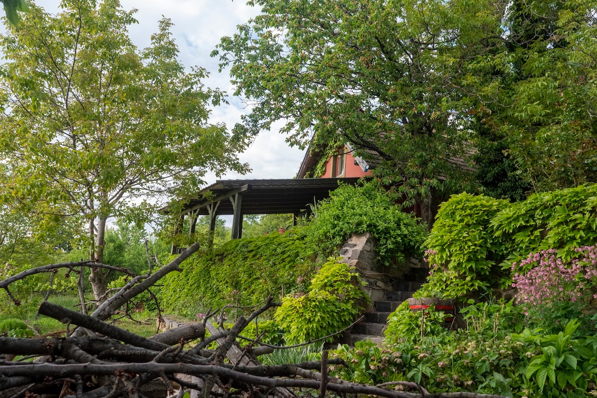 花谷保护区（ Flower Valley Sanctuary ） ，位于荒野中的温馨小屋