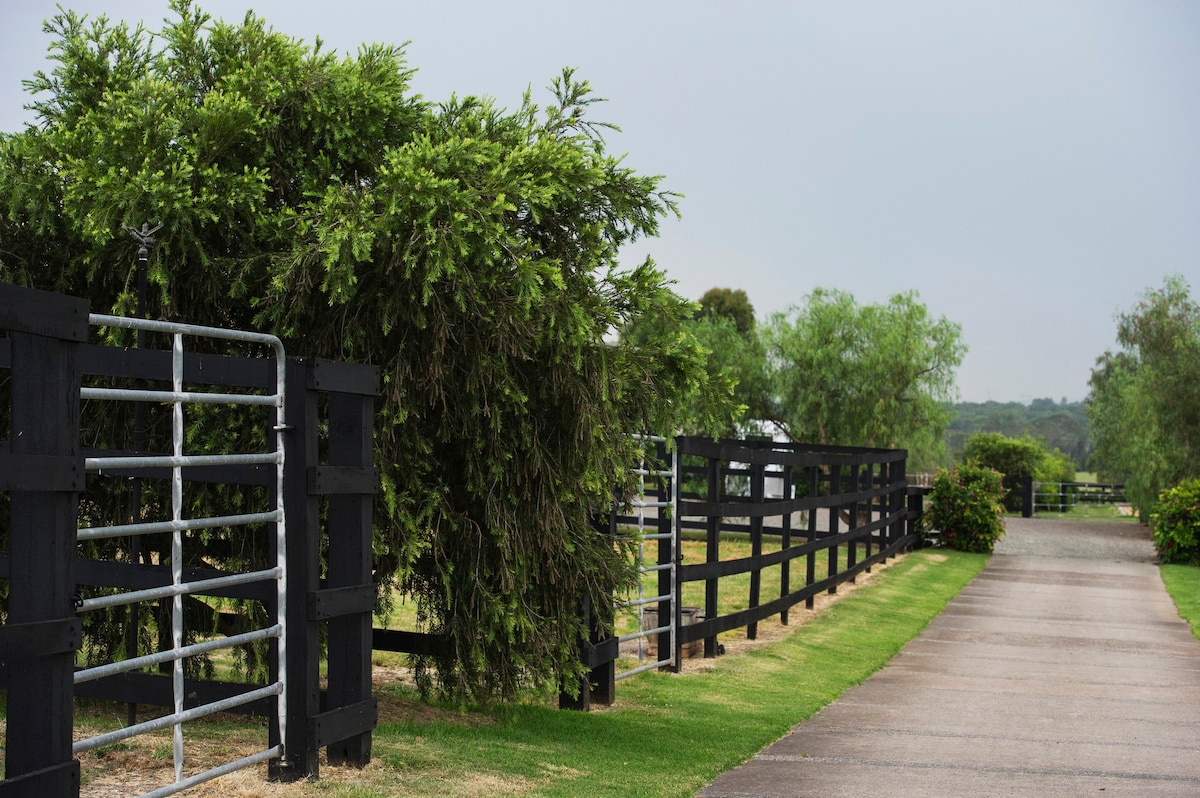 Hunter Valley Romance