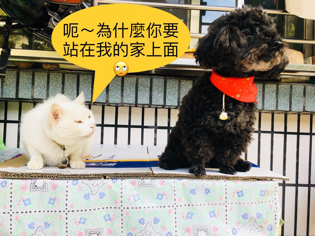 山景超大雙人房 家庭美容院の部屋ホームステイ しましょう 今晚來住家庭美髮院吧 埔里镇民宿
