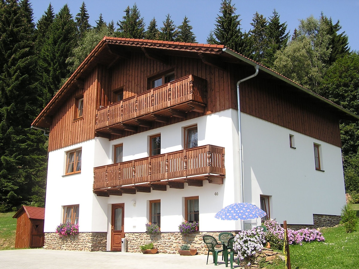 Pension Pek-Šumava-Boubín
可供2人入住的公寓