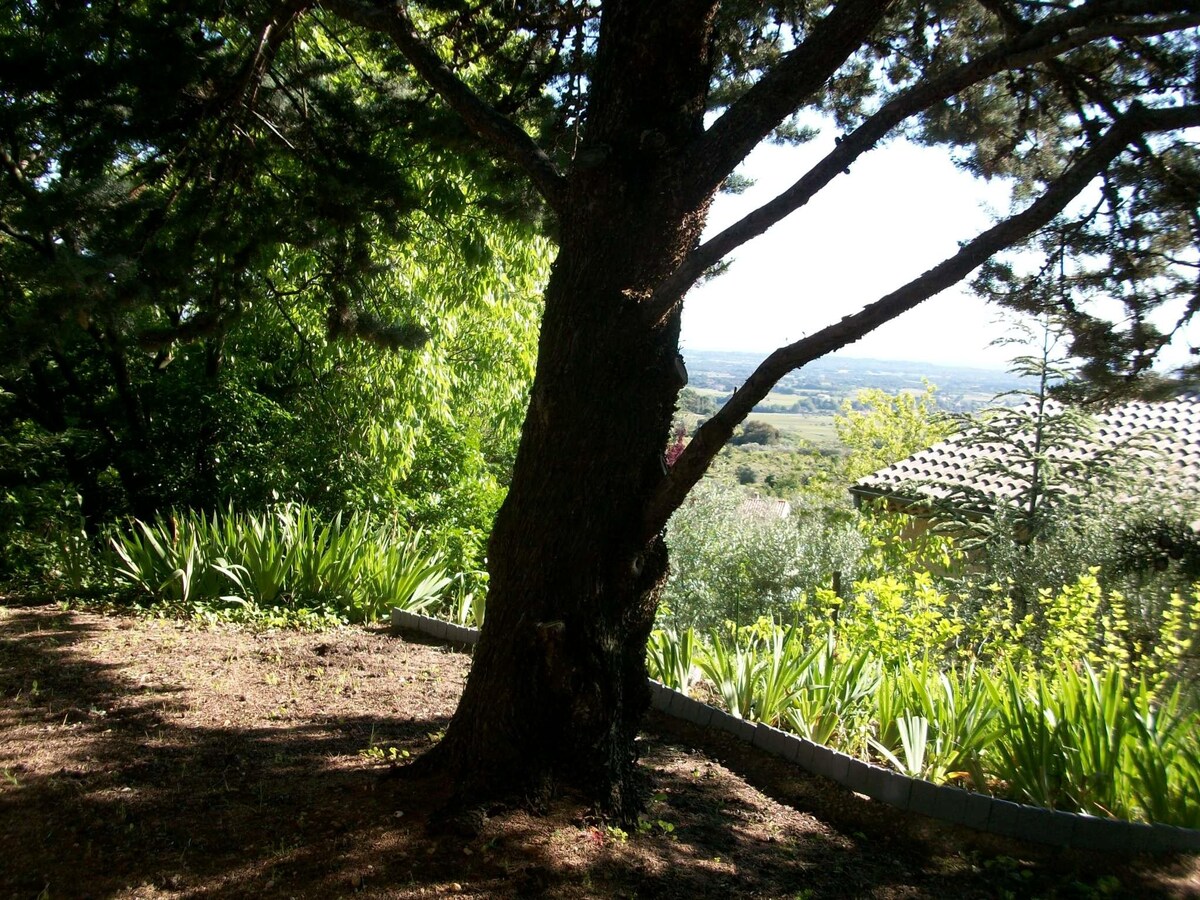 petit cabanon bois en Vaucluse, vue panoramique