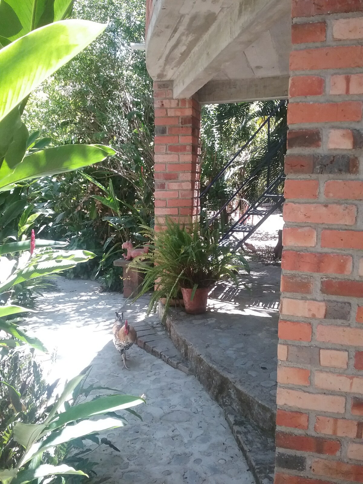 Peaceful cottage in mountains near Puerto Vallarta