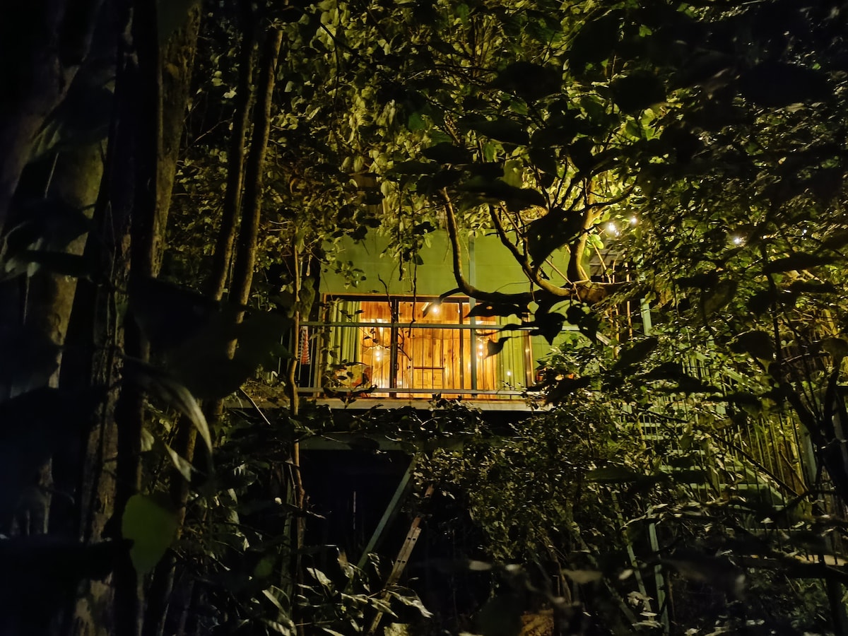 Pajaro Bobo树屋， Bosque Nuboso Monteverde