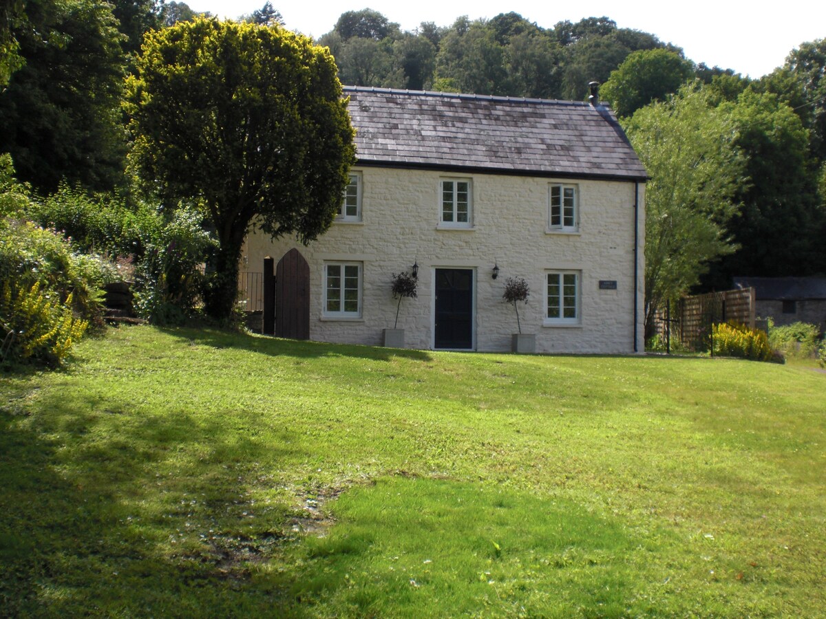 Tintern Abbey Cottage-amazing Abbey View, EV ,5 *