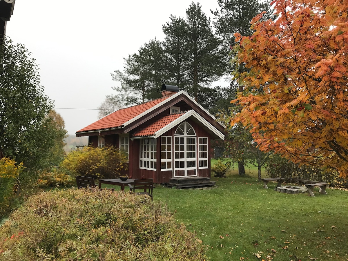 Lergrova小屋，壁炉，河流和森林。