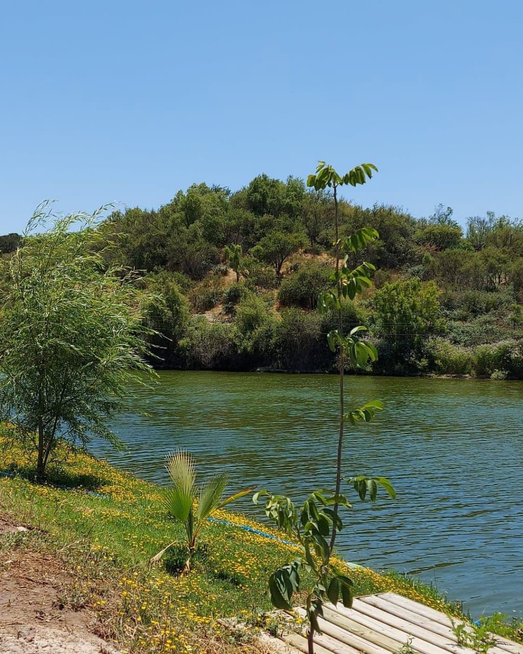 Cabaña Queltehues - kayak, piscina y tinaja Gratis