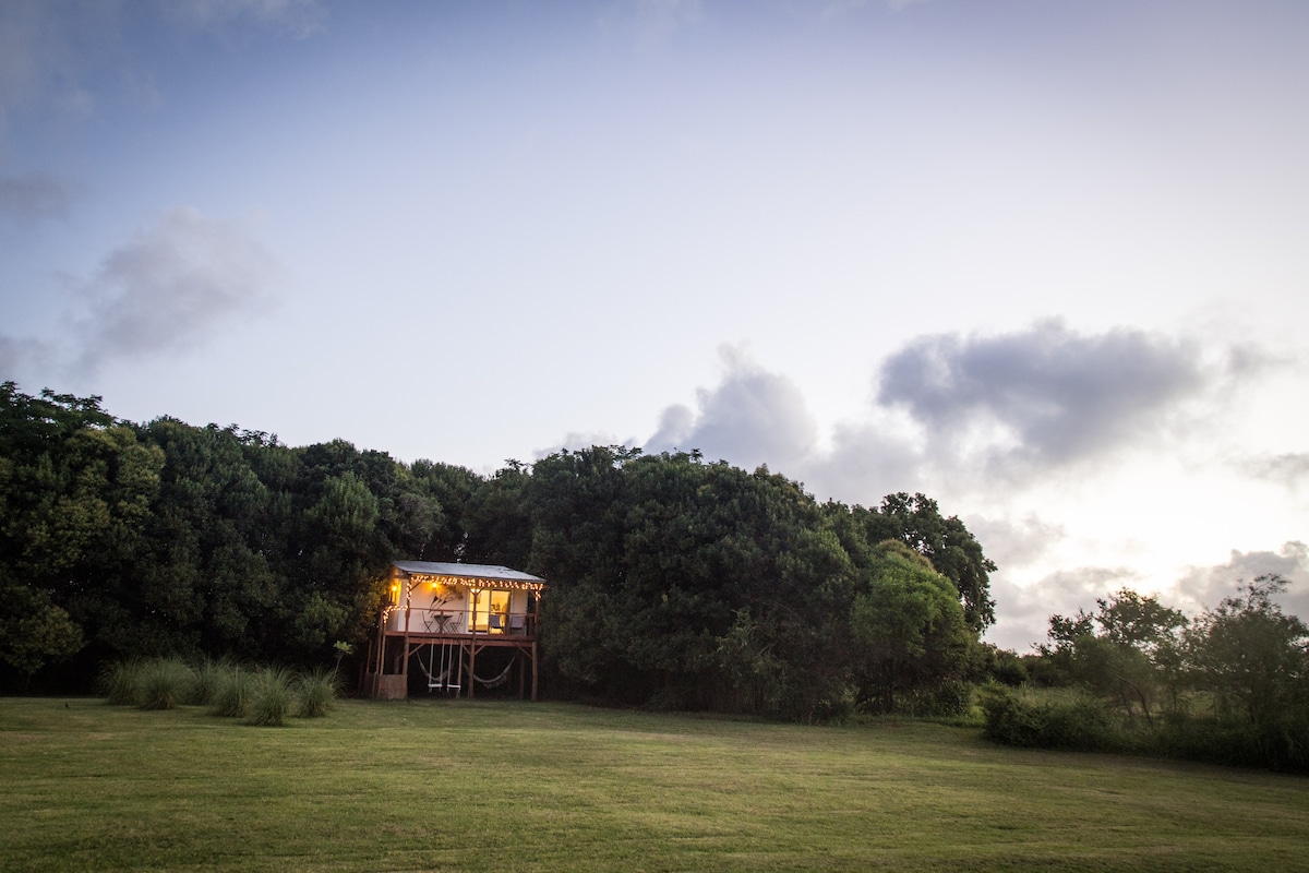 El Nido - Treehouse - The Nest