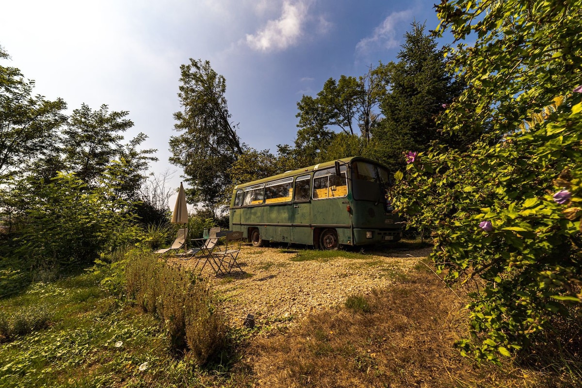 Romantischer Bus in der Natur