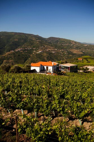 Douro Farm House - Casa de Vale D ’Arados