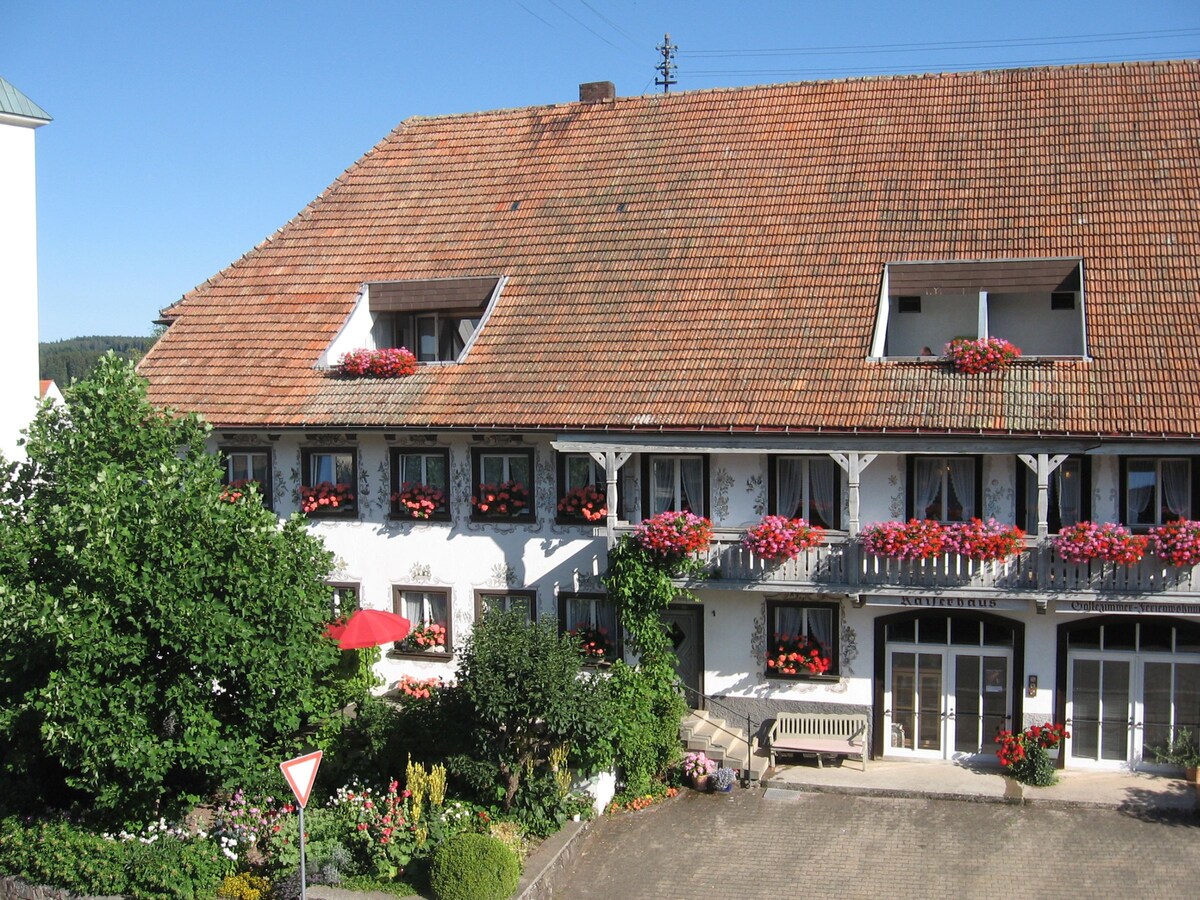 Pension Kaiserhaus, (Ühlingen-Birkendorf),带淋浴间/马桶的5号双人房