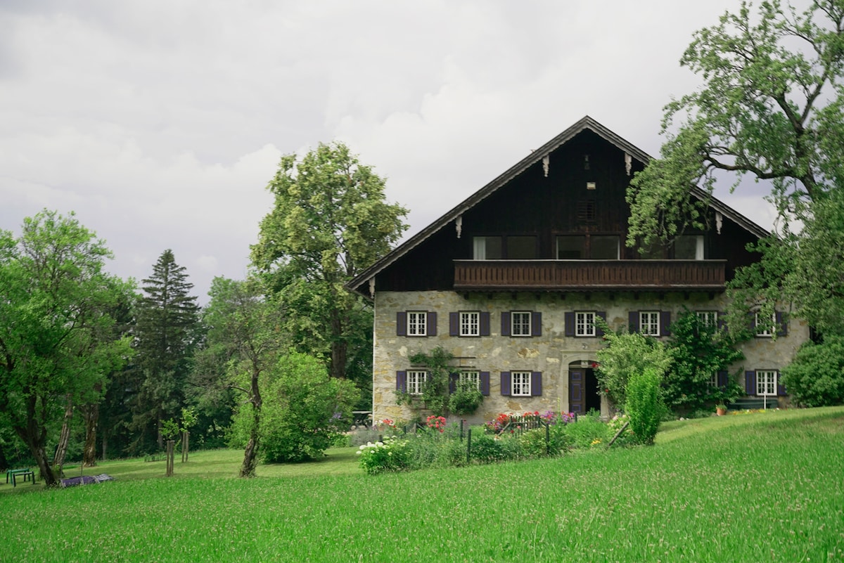 奥地利萨尔茨卡默古特（ Salzkammergut ）的精美乡村别墅