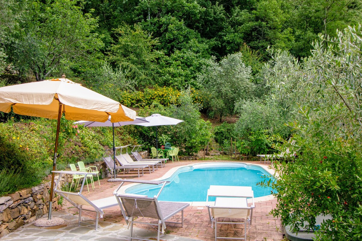 La Bicchieraia迷人的乡村别墅，带泳池