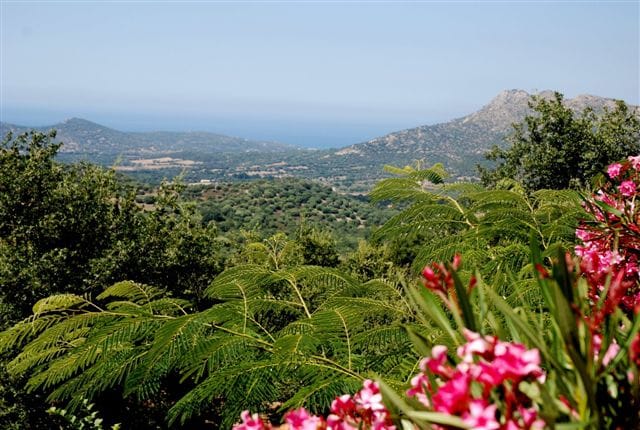 Costa di sognu nature et calme