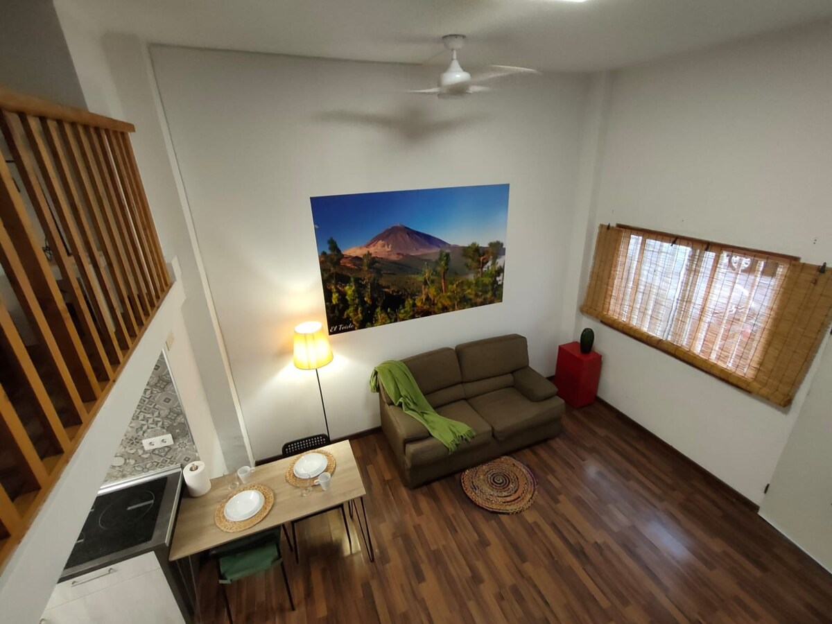 配备南特内里费（ South Tenerife ）空调的单间公寓