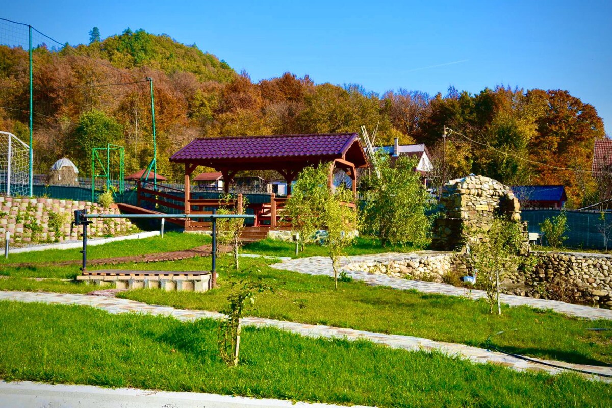 Cozy cabin by the pond - Căbănuța Șoimul