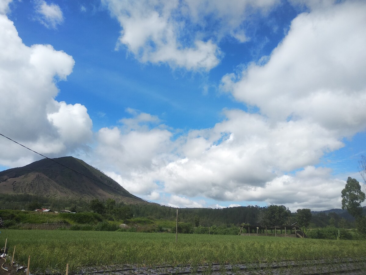 可欣赏火山美景的私人别墅