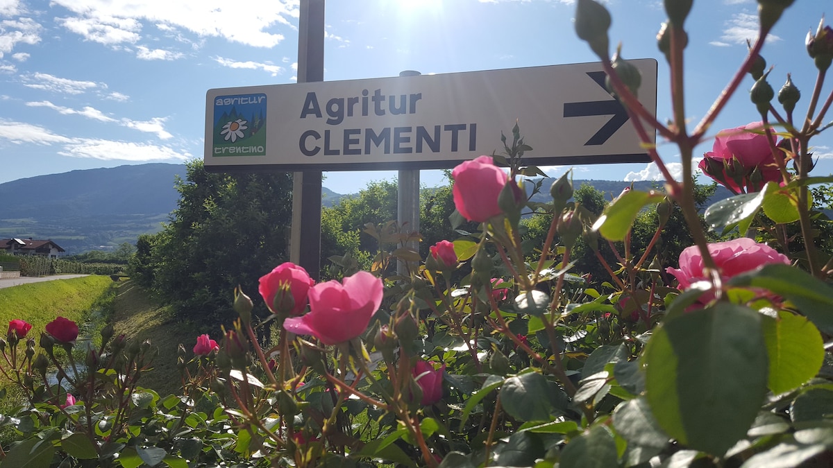 Agritur Clementi双人房