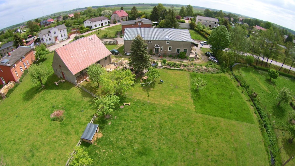 Alte Schmiede Jürgenshagen - Pferdeglück