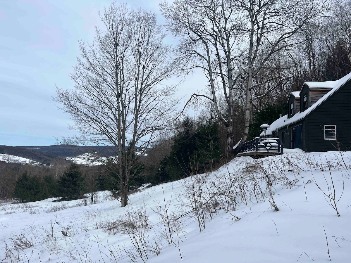 Bucolic Upstate Cabin with Wood-Burning Stove