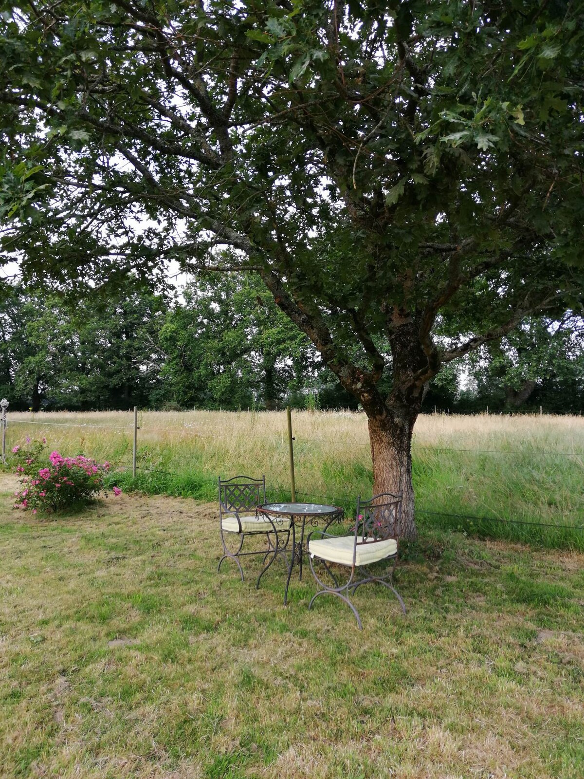 Gîte de la Balangerie (14 personnes)