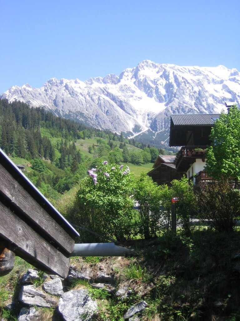 位于萨尔茨堡附近的Dienten的舒适公寓/小屋