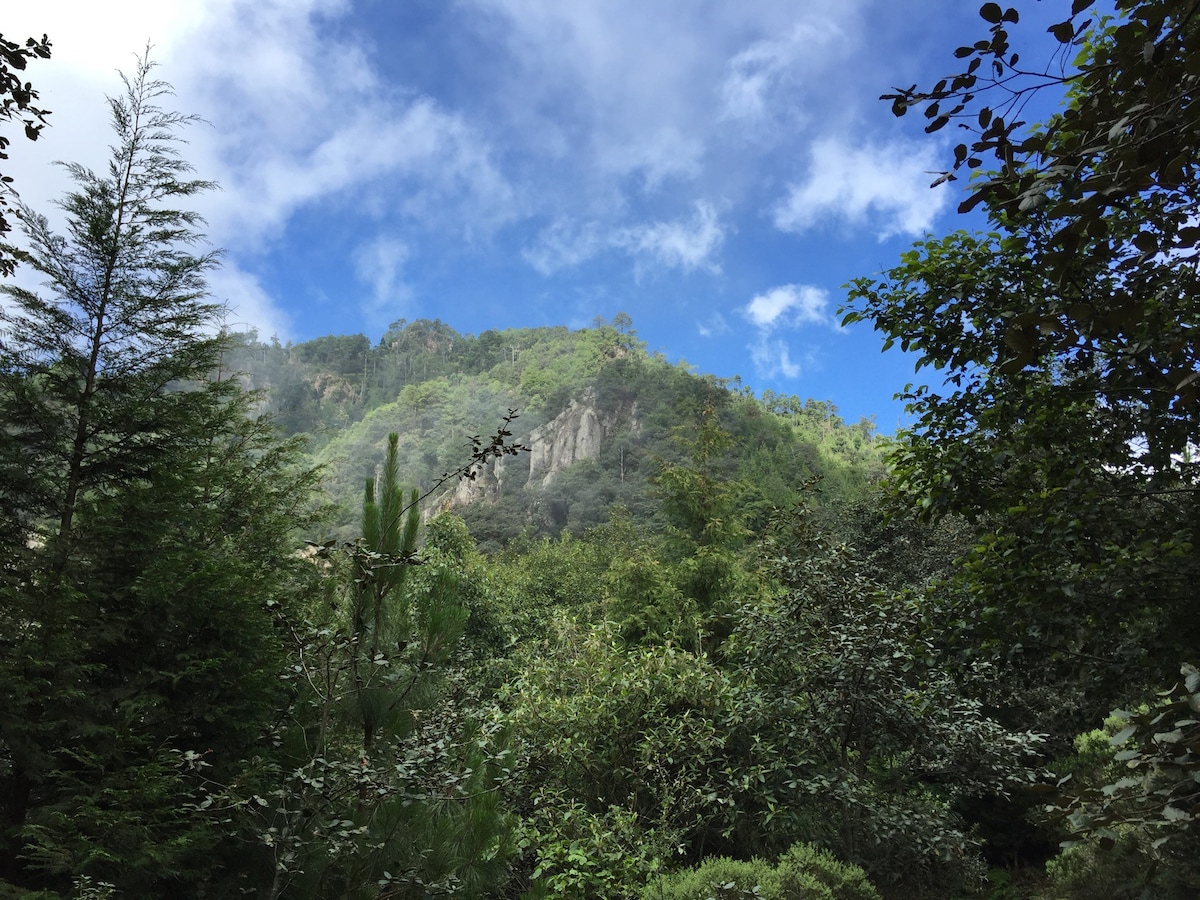 鹰峰：山上徒步和野生动物