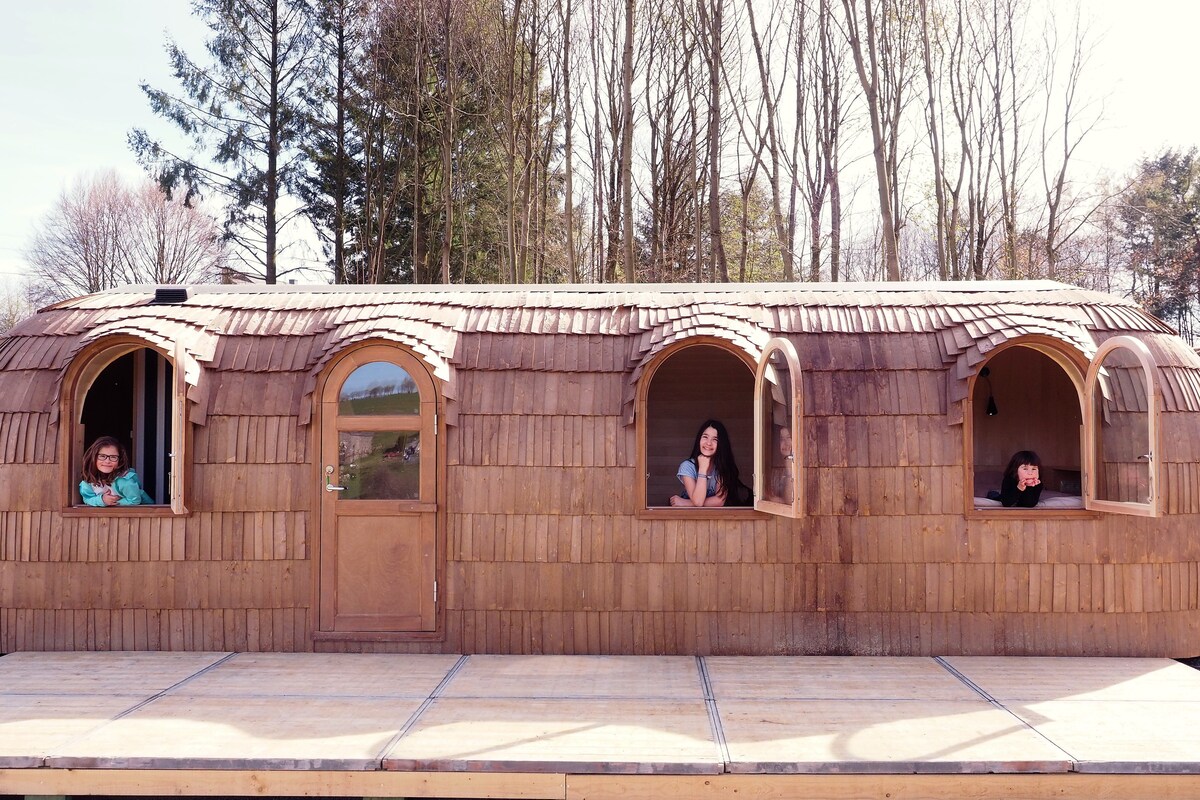 大自然中的舒适、设计和迷人的木质小屋