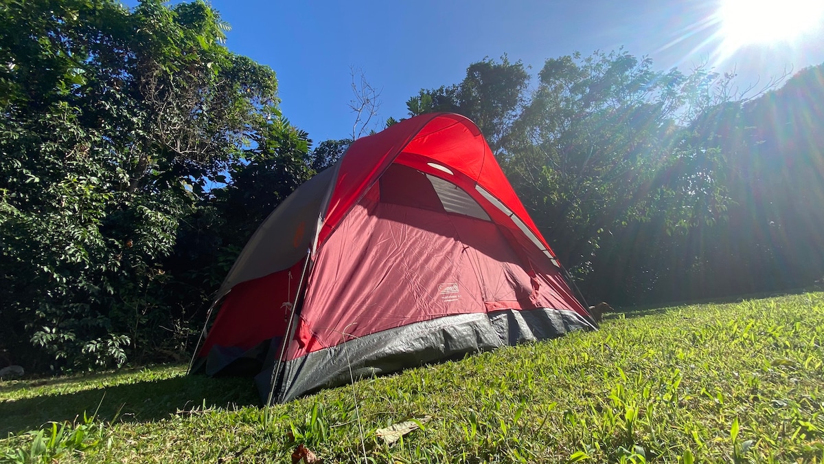 Casita del Campo (Tent 8 min. from Crash Boat)