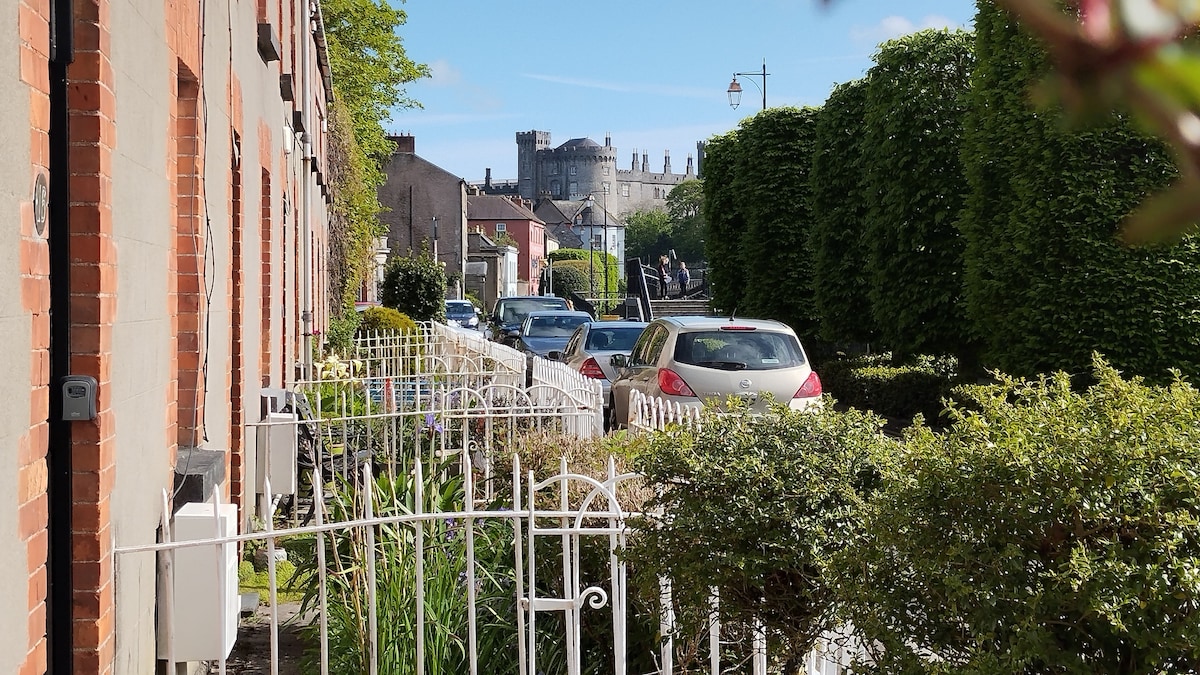 Kilkenny castle and river views