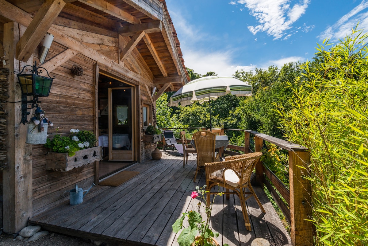 Chalet savoyard dominant lac Leman