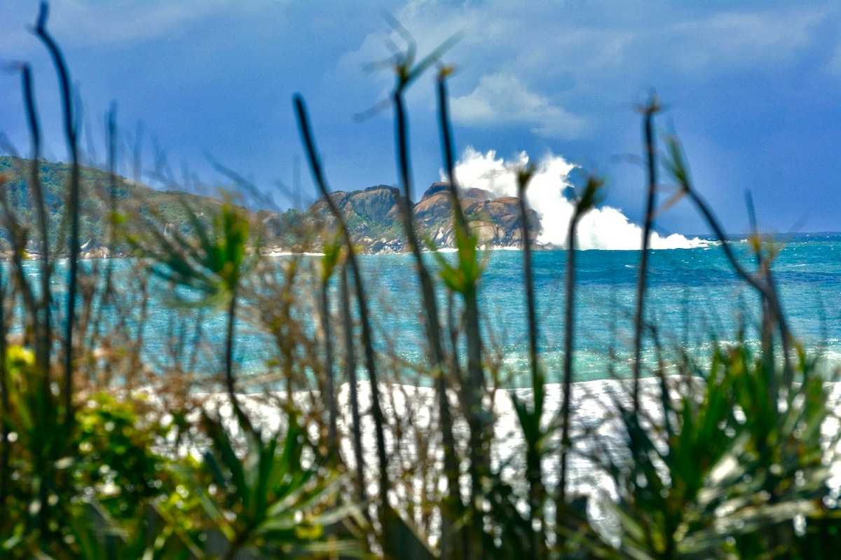 坎佩切（ Campeche ）海边的Orion kitinete