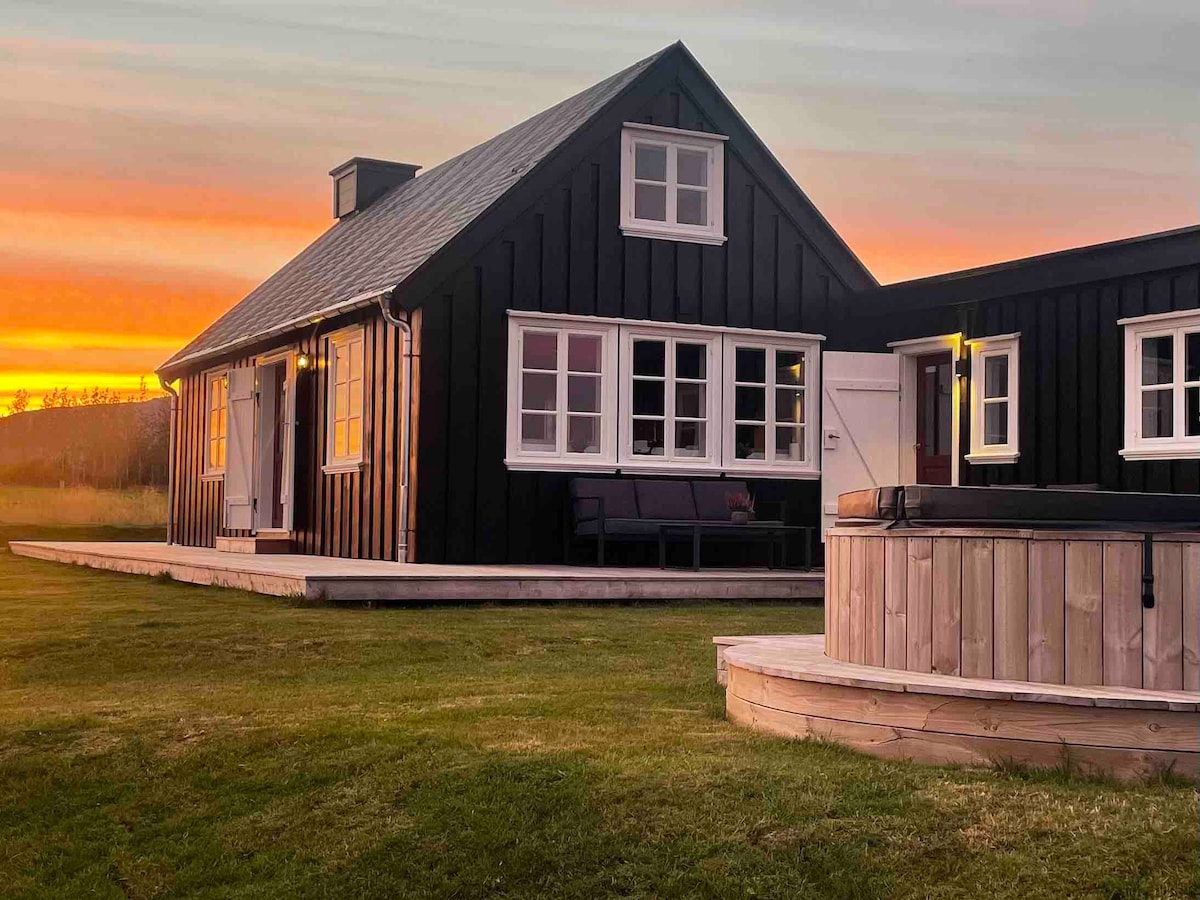 The Black Icelandic House