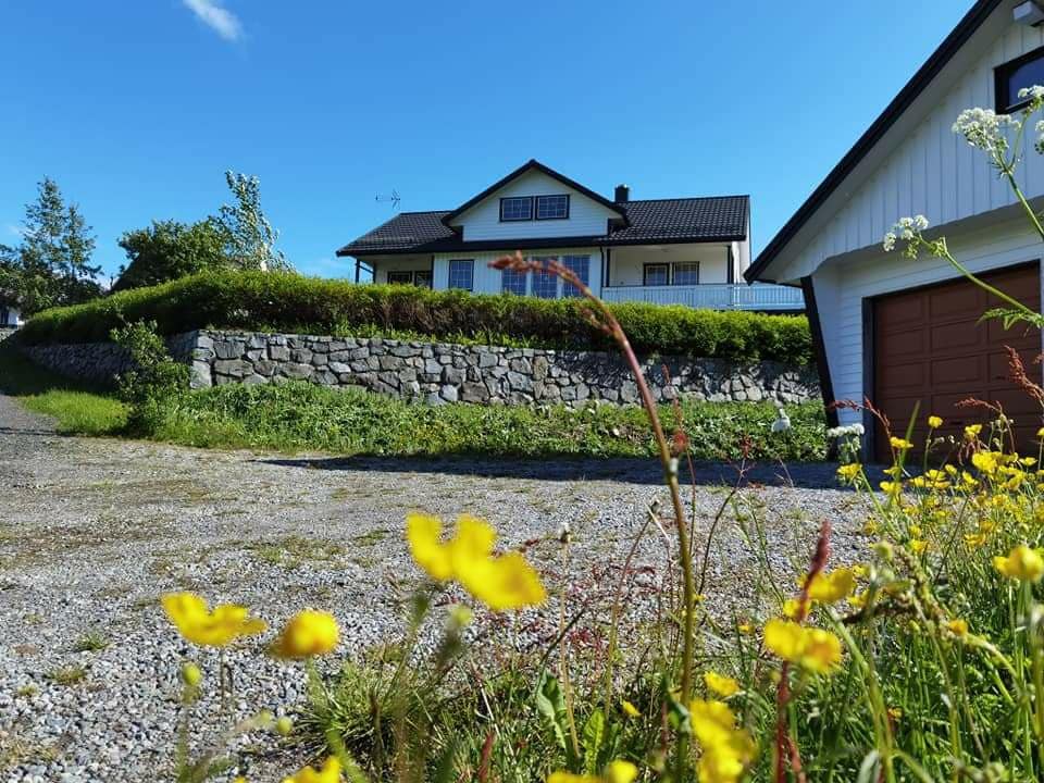 Banpim hillside Lofoten