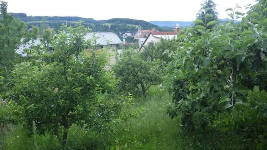 Český Krumlov的民宿