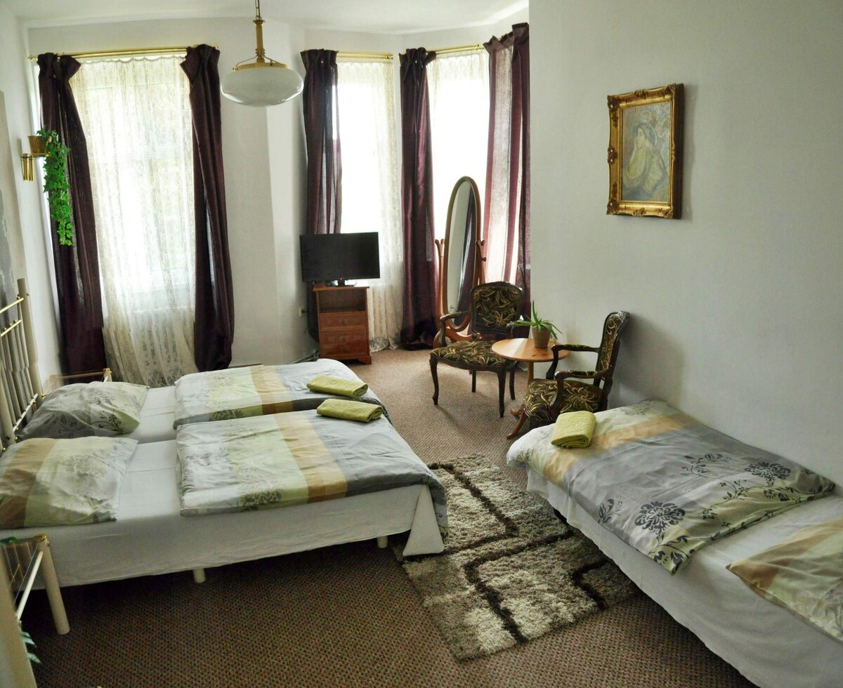 宽敞的房间， 3张床，位于特普利斯市中心