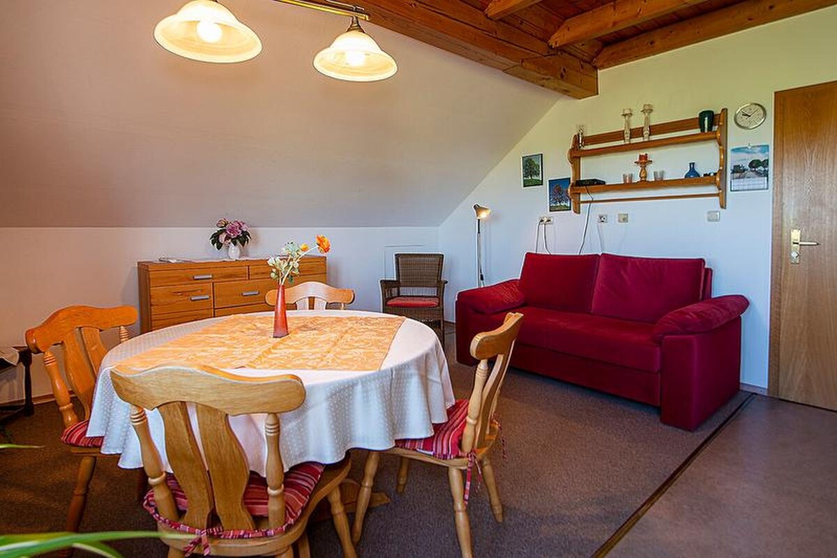 Ferienwohnungen mit Alpensicht, (Lindau am Bodensee), Ferienwohnung 1, 40qm, 1 Schlafzimmer, 1 Wohn-/Schlafzimmer, Balkon, max. 3 Personen