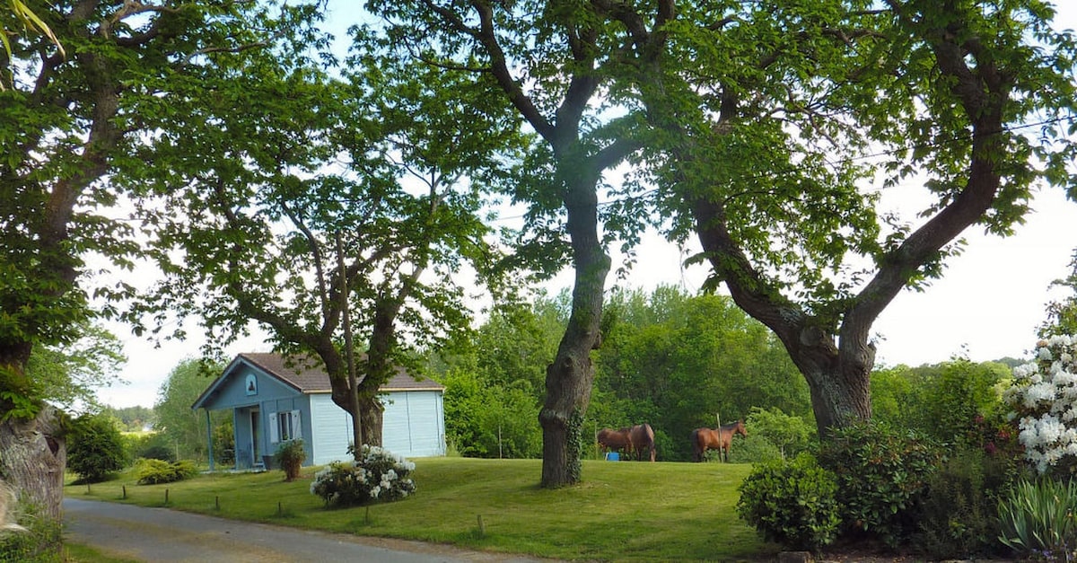 Nature House （天然材料） ；