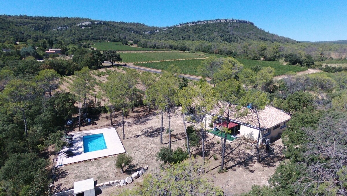 Gîte l'Asphodele au coeur du vignoble du Pic Saint