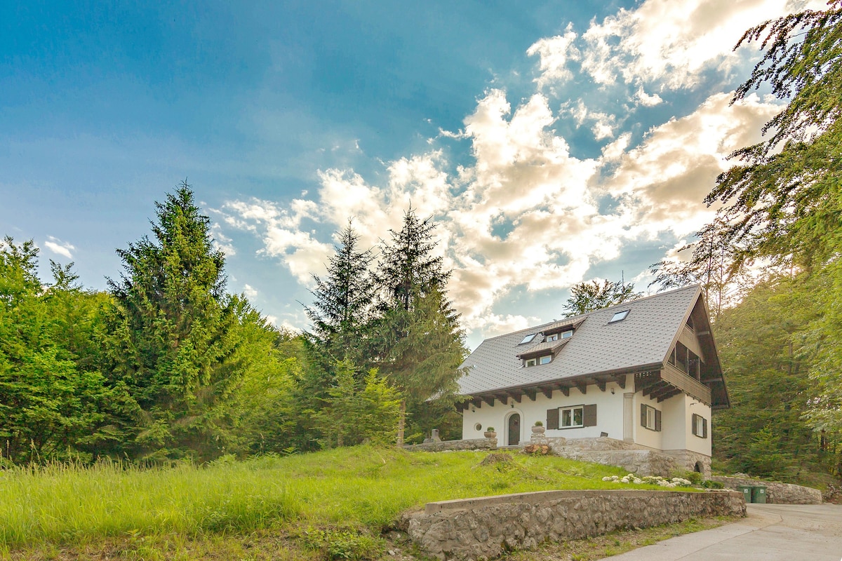 Lake Bohinj -豪华狩猎小屋， 5间卧室