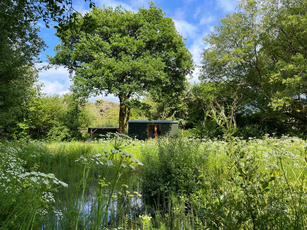 Secluded woodland shepherd hut retreat