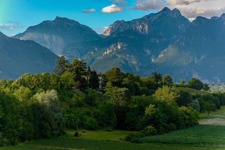 贝卢诺 (Belluno)的民宿