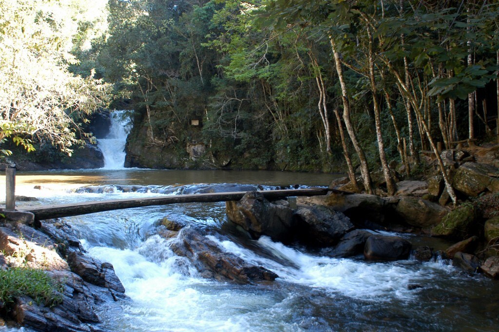 Bosque das Águas III