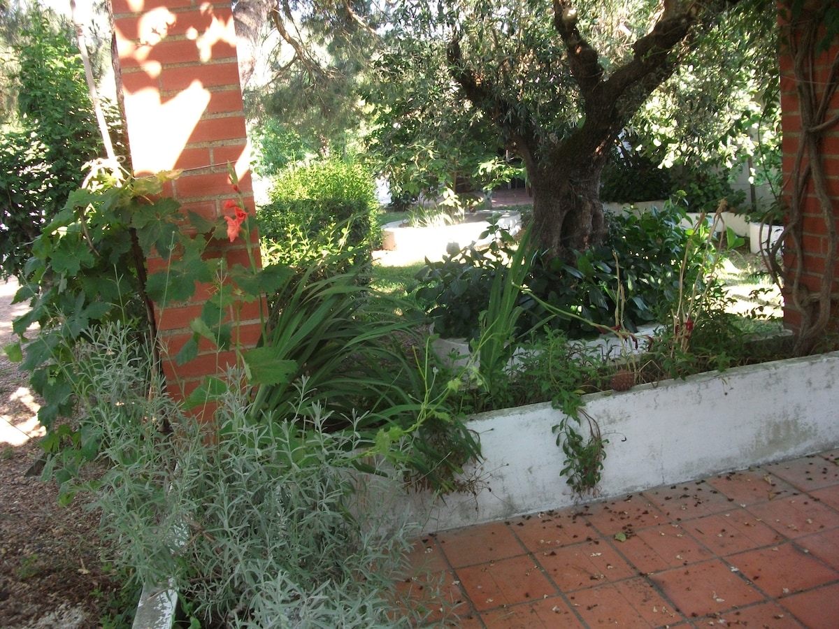 花园中的房子/Casa da Caldeira
