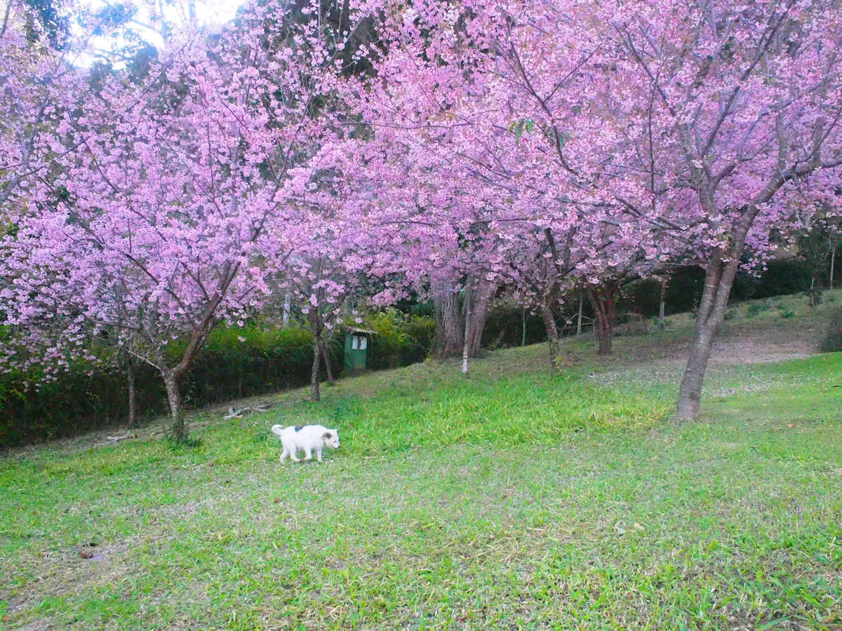 Rancho da Lua - Chalé das Cerejeiras Itaipava