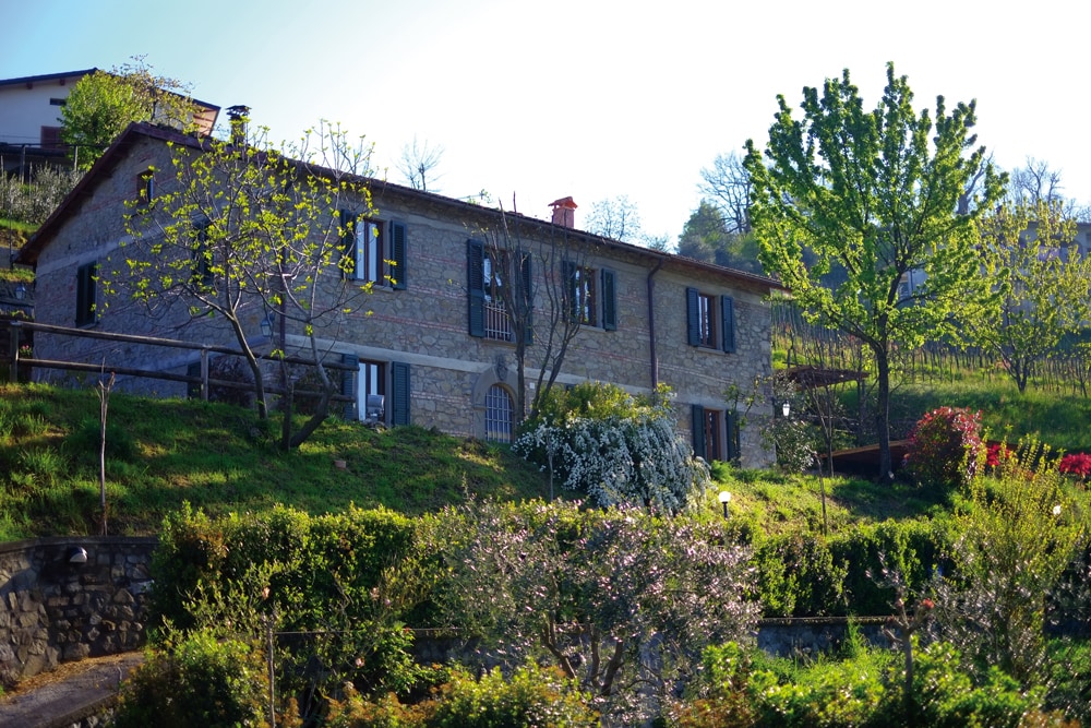 La dolce vità, Pool & Terrace